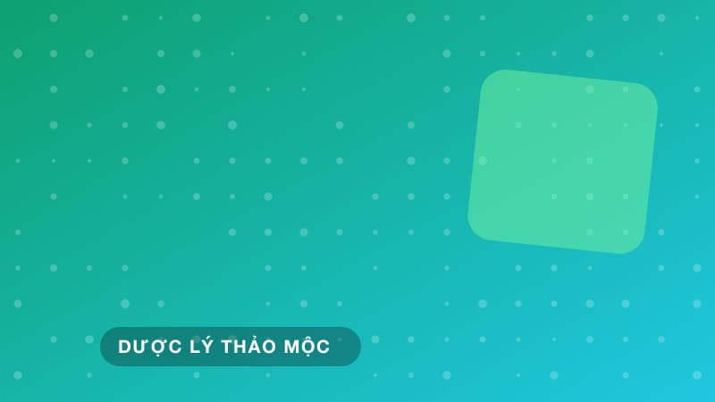 Hệ thống endocannabinoid trong cơ thể người hoạt động như thế nào